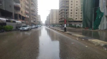 تحذير الأرصاد.. ضباب كثيف وأمطار غزيرة قد تؤدي إلى سيول غدًا في مناطق محددة