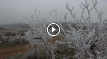 تحذيرات طقسية.. تشكل الانجماد صباح اليوم على الطرق الرئيسية