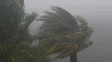 تفاصيل جديدة.. كتلة باردة تضرب البلاد في ديسمبر 2025