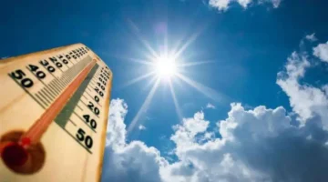 تفاصيل طقس الجمعة: شبورة وفرص أمطار في القاهرة