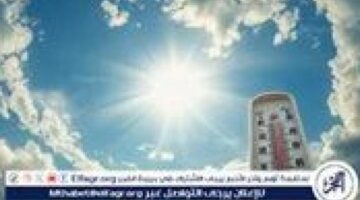 تفاصيل الطقس السبت 13 ديسمبر 2025 بمحافظة المنيا