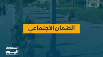 تفاصيل جديدة.. الضمان الاجتماعي يوضح تقديم شكاوى مالية وتحديث حالة 2025