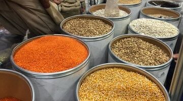 سعر الفول البلدي اليوم في كفر الشيخ: أسعار البقوليات السبت 13 ديسمبر 2025