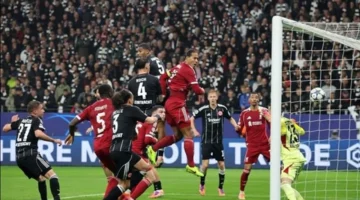 صافرة البداية.. موعد ليفربول ضد برايتون في الدوري الإنجليزي وموقف محمد صلاح