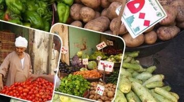 كم سعر كيلو الطماطم اليوم؟ أسعار الخضراوات والفاكهة في كفر الشيخ