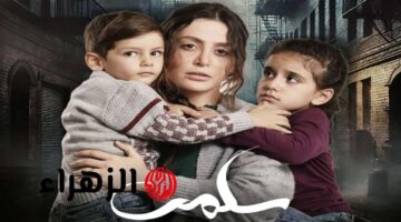 لقاء سلمى وجلال.. موعد عرض الحلقة 89 على CBC دراما