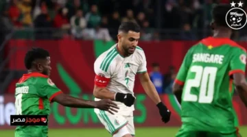 موعد مهم.. مباراة الجزائر والكونغو الديمقراطية في كأس أمم إفريقيا 2025