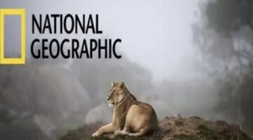 نزل التردد الجديد لقناة ناشيونال جيوغرافيك 2025 على نايل سات وعرب سات