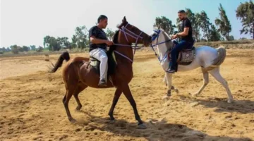 نزلة السمان وغيرها.. أماكن ممارسة الفروسية في القاهرة والجيزة