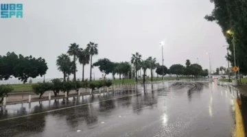 هطول أمطار غزيرة يغطي 12 منطقة رئيسية في المملكة العربية السعودية