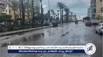 17 يناير.. الأرصاد تحذر من شبورة مائية كثيفة وبرودة قارسة