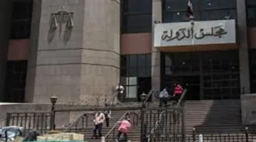 4 وظائف حكومية.. مجلس الدولة يحدد شروط التعيين ومواعيد استقبال الطلبات