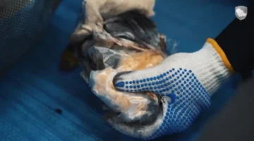 4.7 مليون حبة كبتاجون.. إحباط تهريب في ميناء جدة والقبض على المستقبل