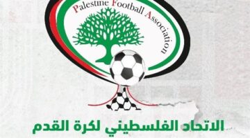 أزمة في الملاعب.. الاحتلال يمنع شحنة عشب صناعي صينية من دخول فلسطين