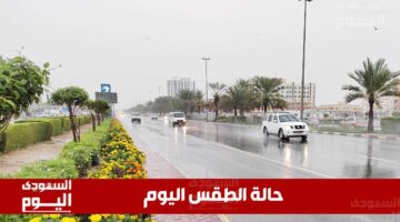 أمطار رعدية تهدد.. رياح نشطة وضباب يغطي مناطق سعودية متعددة