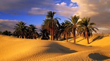 إعلان جديد.. رحلة وزارة الشباب والرياضة بـ1500 جنيه وتفاصيل المكان والموعد