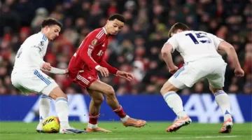 اللقاء المنتظر.. موعد مباراة ليفربول وليدز يونايتد في الدوري الإنجليزي 2025