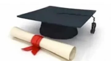 برقم الجلوس.. نتائج الشهادة الإعدادية في محافظة القاهرة عبر بوابة التعليم الأساسي