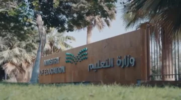 بشكل تلقائي.. ضوابط جديدة لترقية شاغلي الوظائف التعليمية دون اشتراط الموافقة المسبقة