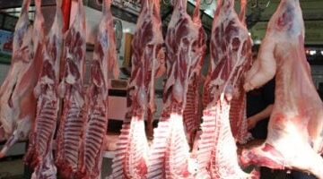 بـ 240 جنيها.. انخفاض ملحوظ في أسعار اللحوم داخل أسواق كفر الشيخ الخميس