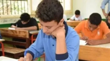 بوابة القاهرة التعليمية.. ظهور نتائج صفوف النقل للشهادتين الابتدائية والإعدادية عبر الموقع الإلكتروني