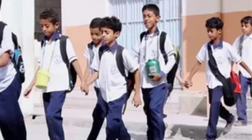 بوابة مديرية التربية والتعليم.. خطوات الاستعلام عن نتائج امتحانات الفصل الدراسي الأول برقم الجلوس