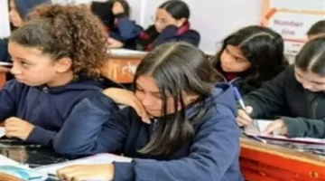 بوابة نتائج القاهرة.. موعد ظهور نتيجة الصف السادس الابتدائي برقم الجلوس