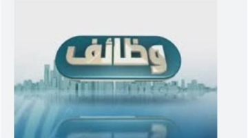 بوابة الوظائف الحكومية.. فرص عمل شاغرة بتخصصات متنوعة ورواتب تنافسية للمصريين