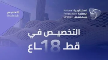 بينها التعليم.. طرح 18 قطاعاً استثمارياً ضمن الاستراتيجية الوطنية الجديدة للتخصيص