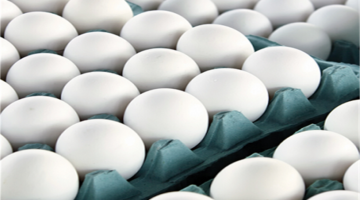 تحديث الأسواق اليوم.. أسعار كرتونة البيض الأبيض للمستهلك تسجل أرقامًا جديدة