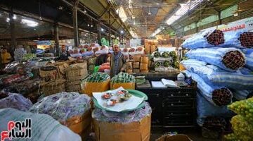 تحديثات الأسعار.. تكلفة الخضروات في أسواق الأقصر خلال تعاملات الخميس 29 يناير 2026
