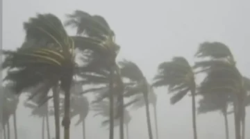 تحذير الأرصاد.. نشاط للرياح وارتفاع غير متوقع في درجات الحرارة بمصر