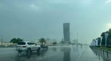 تحذير رسمي.. الأرصاد الجوية توضح خريطة الرياح ودرجات الحرارة اليوم السبت 31 يناير
