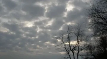 تحذير رسمي.. الأرصاد توضح تغيرات حالة الطقس المتوقعة يوم الاثنين 26 يناير