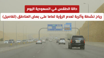تحذير للأرصاد.. رياح نشطة تسبب انعدام الرؤية في عدة مناطق سعودية