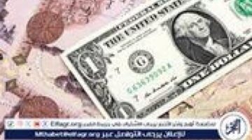 تحركات مفاجئة.. سعر الدولار أمام الجنيه المصري في تعاملات الثلاثاء بالبنوك المحلية