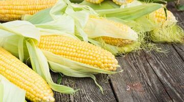 تراجع أسعار الحبوب.. صعود الدولار يضغط على تداولات العقود الآجلة بالأسواق العالمية