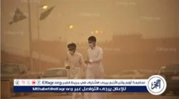 تعليق الدراسة بنجران.. موجة غبار كثيفة تحول التعليم لمسارات بديلة في عدة محافظات نجدية