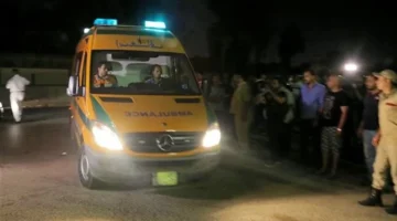 جريمة في زفتى.. ضبط شقيقين أنهيا حياة والدهما بسبب خلافات أسرية بالغربوية