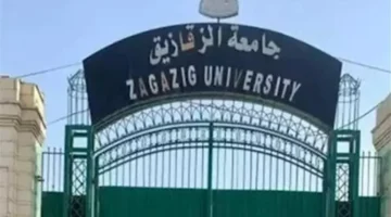 خريطة كليات جامعة الزقازيق.. تخصصات جامعية جديدة توفر فرص عمل لخريجي محافظة الشرقية