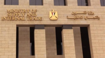 خطوات التحديث.. تجنب إيقاف دعم بطاقات التموين 2026 والحالات المحظورة