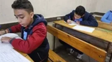 رابط الاستعلام.. خطوات استخراج نتيجة الشهادة الابتدائية لعام 2026 وتوزيع درجات المواد