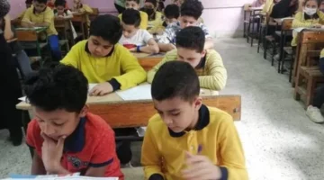 رابط مباشر.. استعلم عن نتائج صفوف النقل بالرقم القومي عبر بوابة التعليم الأساسي 2026