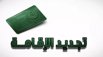 زيادة 300%.. أسعار تجديد الإقامة الجديدة للمقيمين والمرافقين في المملكة العربية السعودية