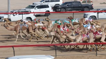 سبأ تتوج.. بكأس ولي عهد دبي للإيذاع في مهرجان الهجن