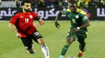 شاهد مجانًا.. قناة مفتوحة تبث لقاء مصر والسنغال بنصف نهائي أمم أفريقيا 2025