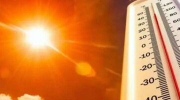 صيف مفاجئ في الشتاء.. ارتفاع جوي يغير الطقس خلال ساعات