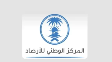 ضباب كثيف.. يغطي أجزاء محافظة الشرقية مساء اليوم