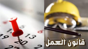 قانون العمل 2026.. يحدد حقوق الإجازات السنوية والعارضة للعاملين