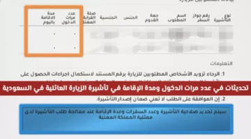 قواعد سعودية جديدة.. تغييرات مفاجئة في نظام التأشيرة العائلية عبر القنصليات المختصة